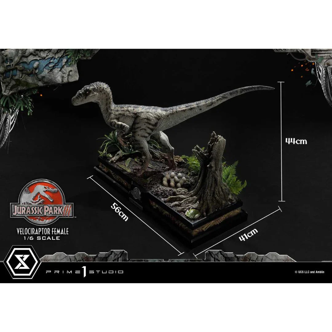 Prime 1 Studio Jurassic Park III (Film) Velociraptor Female Bonus Version Statue