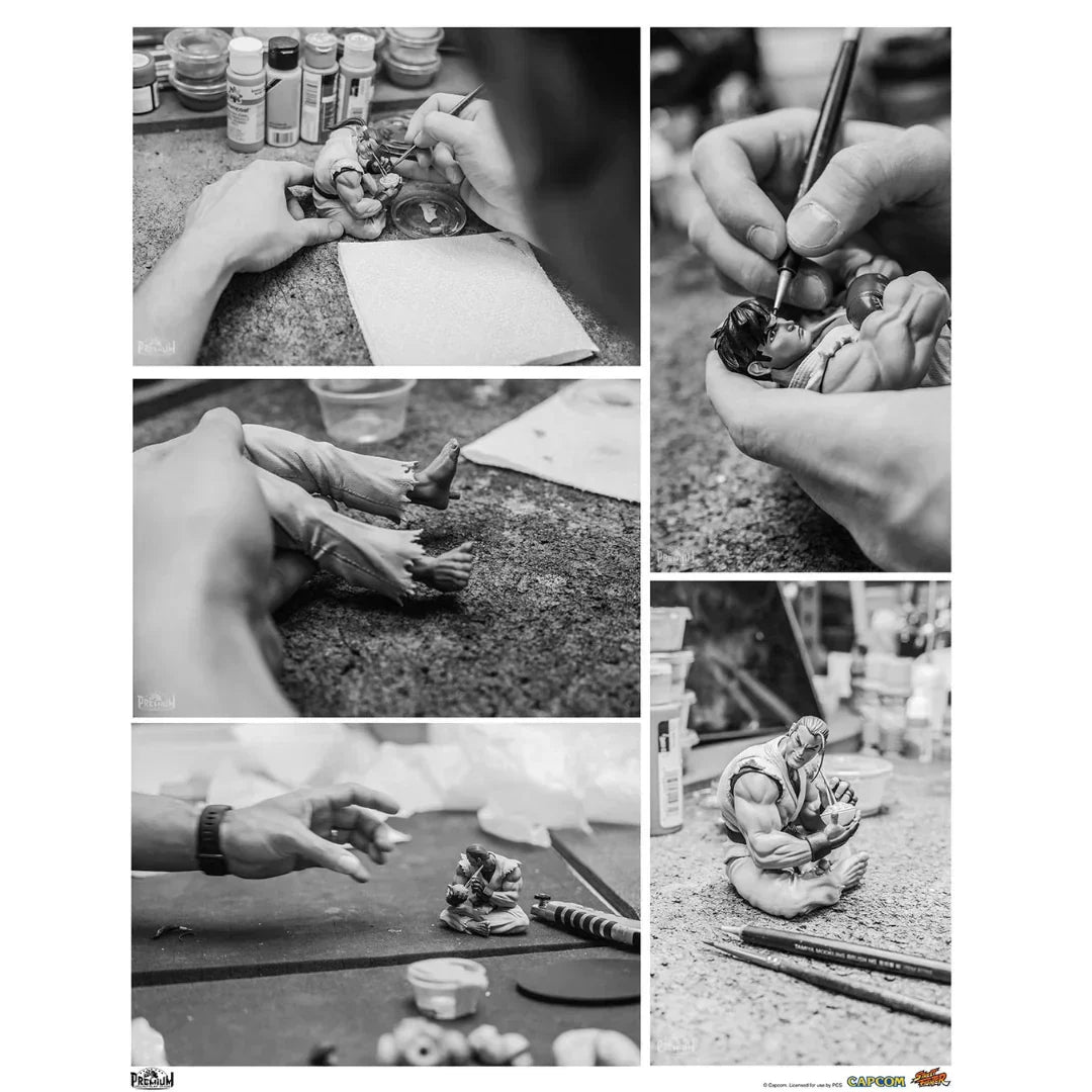 RYU & DAN Collectible Set by PCS