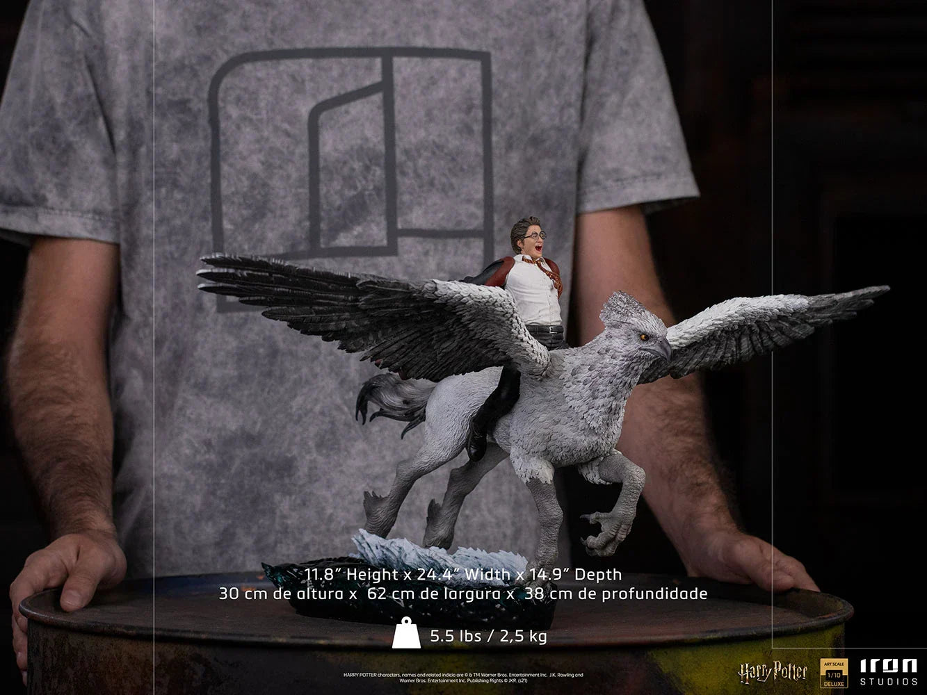 Harry Potter & Buckbeak By Iron Studios