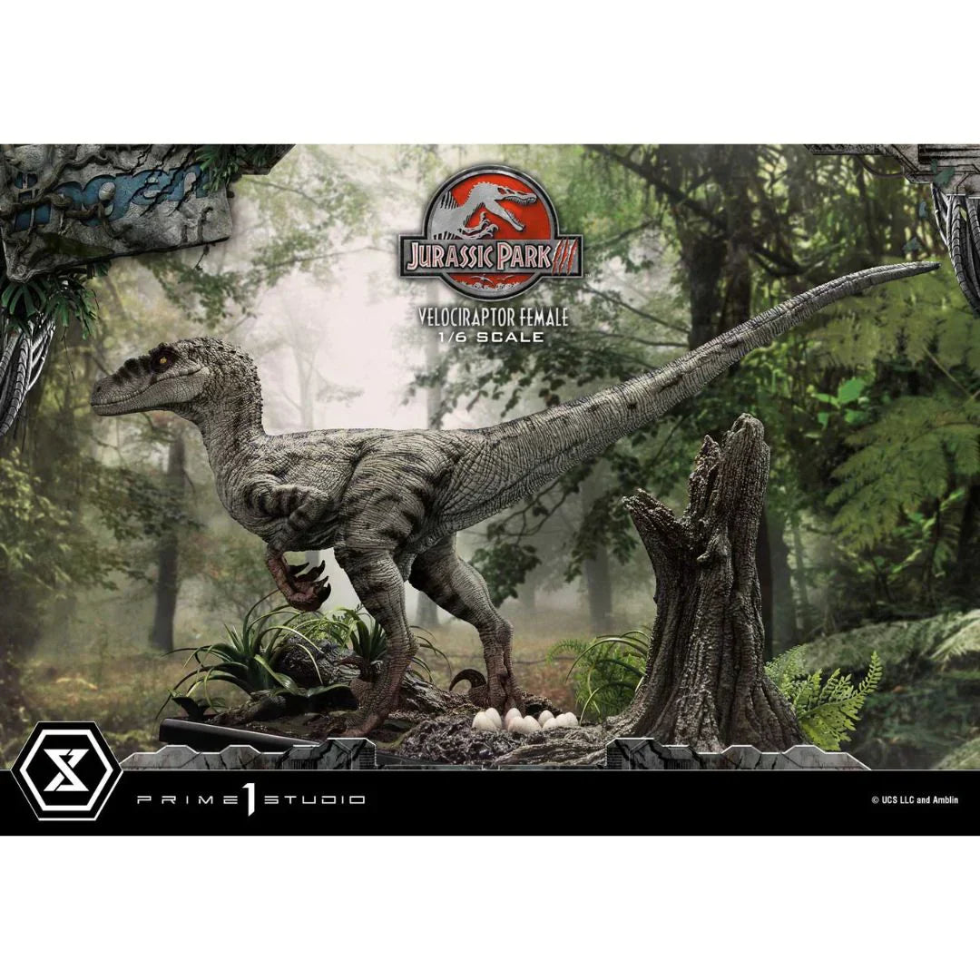 Prime 1 Studio Jurassic Park III (Film) Velociraptor Female Bonus Version Statue