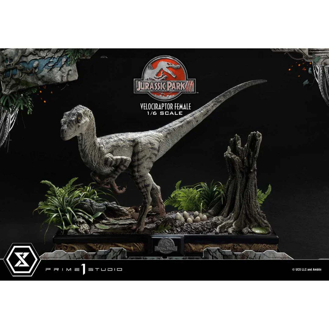 Prime 1 Studio Jurassic Park III (Film) Velociraptor Female Bonus Version Statue