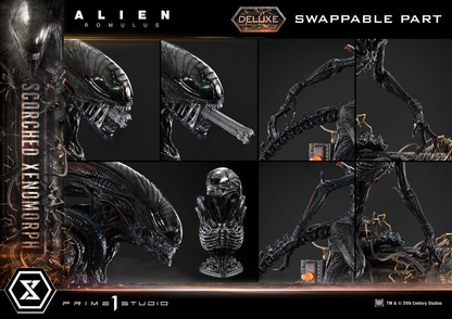 Alien Romulus Scorched Xenomorph DX Bonus Version By Prime 1 Studio