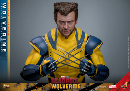 WOLVERINE (DELUXE VERSION) Sixth Scale Figure by Hot Toys