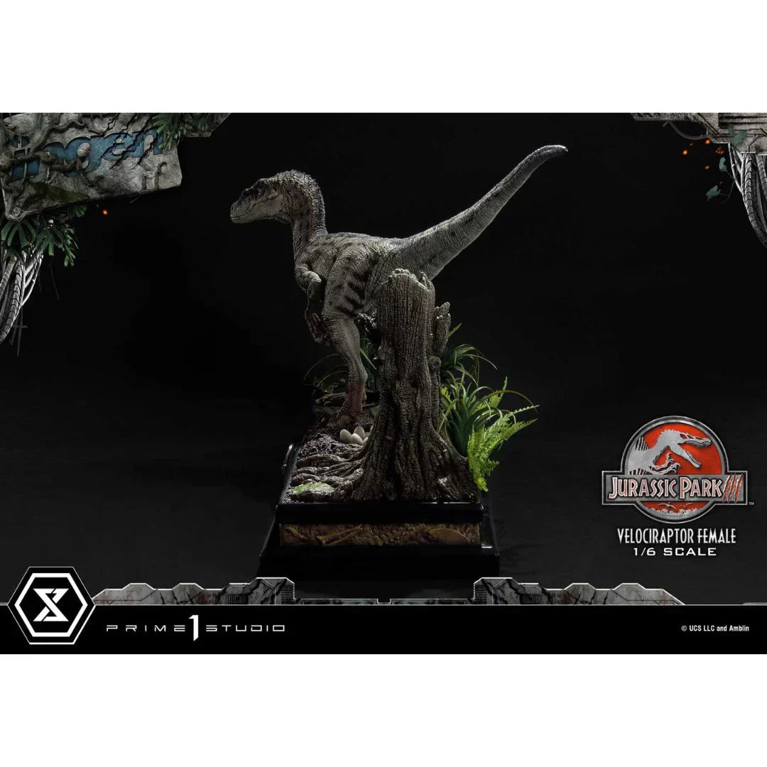 Prime 1 Studio Jurassic Park III (Film) Velociraptor Female Bonus Version Statue