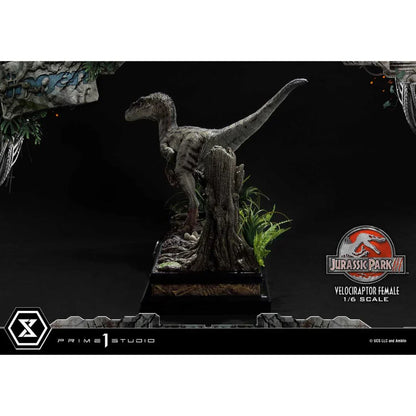 Prime 1 Studio Jurassic Park III (Film) Velociraptor Female Bonus Version Statue