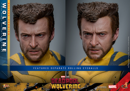 WOLVERINE (DELUXE VERSION) Sixth Scale Figure by Hot Toys