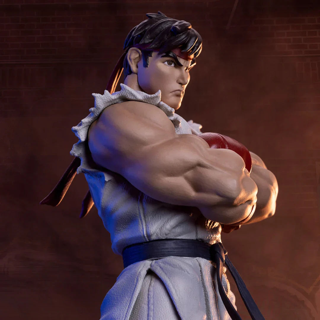 RYU & DAN Collectible Set by PCS