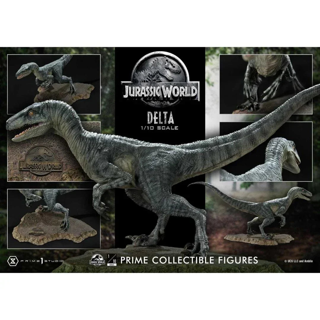 Jurassic World (Film) Delta Limited Edition Statue by Prime 1 Studio