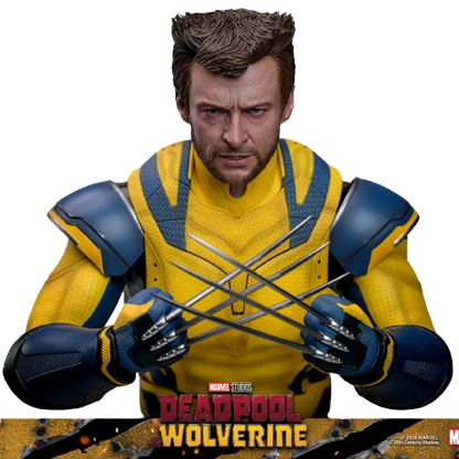 WOLVERINE (DELUXE VERSION) Sixth Scale Figure by Hot Toys